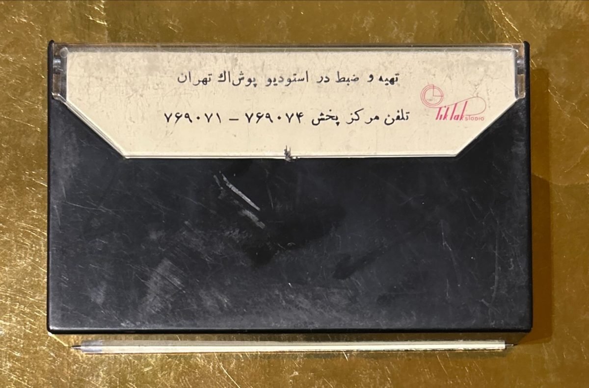 Hayedeh Kaset - Görsel 2
