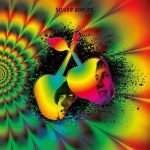 Silver Apples LP Plak