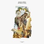 Michal Turtle – Return To Jeka LP Plak