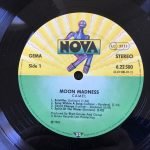 Camel – Moonmadness LP Plak - Görsel 3