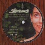 Sunkissed – Spellbound / Wraparound 12" Maxi Single Plak (Tech House) - Görsel 2