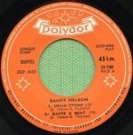 Sandy Nelson – Madison Twist 45lik Plak - Görsel 3