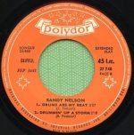 Sandy Nelson – Madison Twist 45lik Plak - Görsel 4