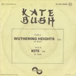 Kate Bush – Wuthering Heights 45lik Plak - Görsel 2