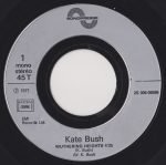 Kate Bush – Wuthering Heights 45lik Plak - Görsel 3