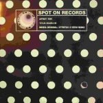 TDR – Squelch 12'' Maxi Single Plak (House)