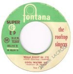 The Rooftop Singers – Walk Right In 45lik Plak - Görsel 3
