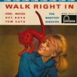 The Rooftop Singers – Walk Right In 45lik Plak