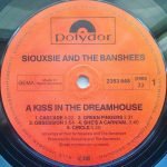 Siouxsie And The Banshees – A Kiss In The Dreamhouse LP Plak - Görsel 6
