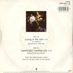 a-ha – Crying In The Rain 45lik Plak - Görsel 2