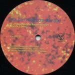 DJ Sneak – You Can't Hide From Your Bud 12'' Maxi Single Plak (Early House) - Görsel 4
