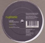 Ladyvipb – Yesterday Has Gone 12" Maxi Single Plak (Deep House)