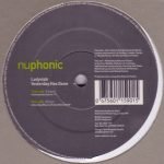 Ladyvipb – Yesterday Has Gone 12" Maxi Single Plak (Deep House)