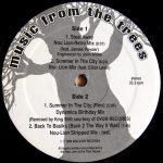 Music From The Trees – Steal Away 12" Maxi Single Plak (Deep House)