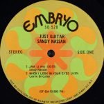 Sandy Nassan – Just Guitar LP Plak - Görsel 3