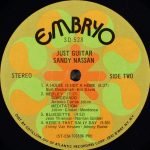 Sandy Nassan – Just Guitar LP Plak - Görsel 4