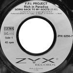 F.P.I. Project – Rich In Paradise "Going Back To My Roots" 45lik Plak - Görsel 4
