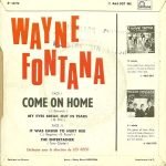 Wayne Fontana – Come On Home 45lik Plak - Görsel 2