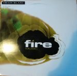 Grain Blanc – Big Bag 12" Maxi Single Plak (House)