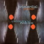 Underground Evolution – Primordial Passage 2LP Plak (Deep House)
