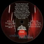 Underground Evolution – Primordial Passage 2LP Plak (Deep House) - Görsel 5