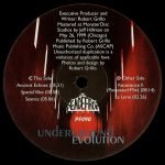 Underground Evolution – Primordial Passage 2LP Plak (Deep House) - Görsel 4