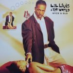 Lil Louis & The World – Nyce & Slo 12'' Maxi Single Plak (Deep House)