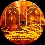 Mojolators – To The Music 12" Maxi Single Plak (House) - Görsel 3