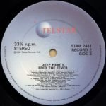 Deep Heat 5 - Feed The Fever 2LP Plak (Early House) - Görsel 3