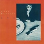 Andy Summers – XYZ LP Plak