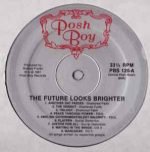 The Future Looks Brighter LP Plak - Görsel 3