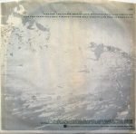 Echo & The Bunnymen – Porcupine LP Plak - Görsel 5
