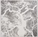 Strawbs – From The Witchwood LP Plak - Görsel 3