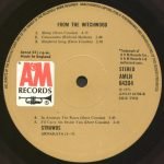 Strawbs – From The Witchwood LP Plak - Görsel 5