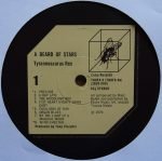 Tyrannosaurus Rex – A Beard Of Stars / Unicorn 2LP Plak - Görsel 3