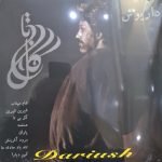Dariush LP Plak