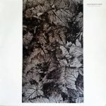 Eyeless In Gaza – Rust Red September LP Plak