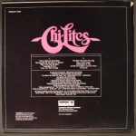 The Chi-Lites – Love Your Way Through LP Plak - Görsel 2