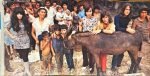 Shocking Blue ‎– Scorpio's Dance LP Plak (Japon Baskı) - Görsel 4