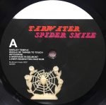 Tarwater – Spider Smile LP Plak - Görsel 3