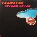Tarwater – Spider Smile LP Plak