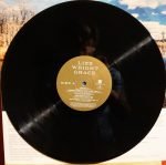 Lizz Wright – Grace LP Plak - Görsel 4