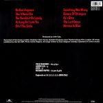 Element Of Crime – Try To Be Mensch LP Plak - Görsel 2