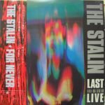 The Stalin – For Never 2LP Plak