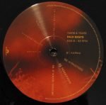 Years & Years – Palo Santo 2LP Plak - Görsel 3