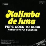 Pepe Goes To Cuba – Kalimba De Luna 45lik Plak (Italo Disco) - Görsel 2