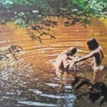 Woodstock (Music From The Original Soundtrack And More) 3LP Plak - Görsel 3