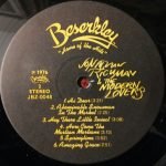Jonathan Richman & The Modern Lovers – Jonathan Richman & The Modern Lovers LP Plak - Görsel 4