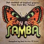 Why Not Samba - Hot Cocktail Of Tropical Grooves From Cold War Poland LP Plak
