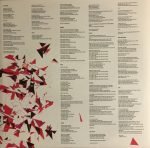 Tune-Yards – Whokill LP Plak - Görsel 4
